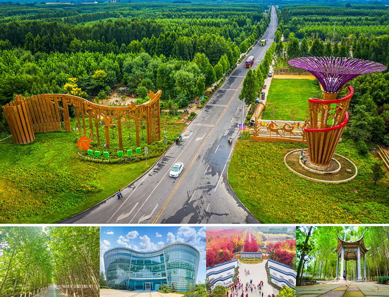 长泰建设(图2)