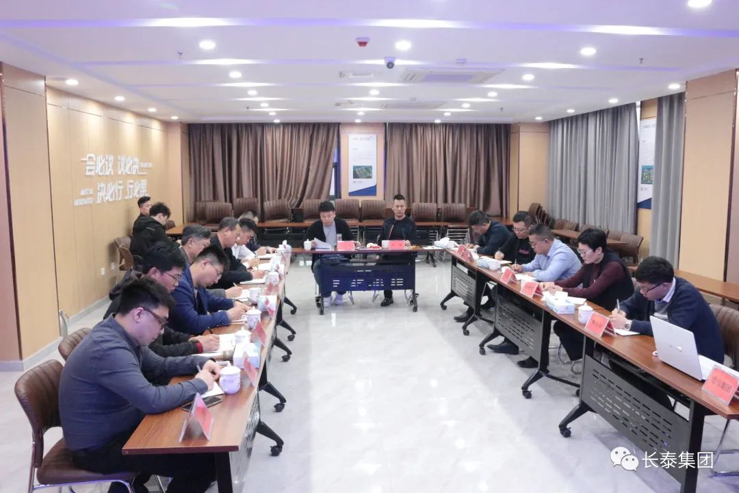 集团时讯丨集团召开[长泰瑞马•棠颂项目]股东经营通报会(图4)